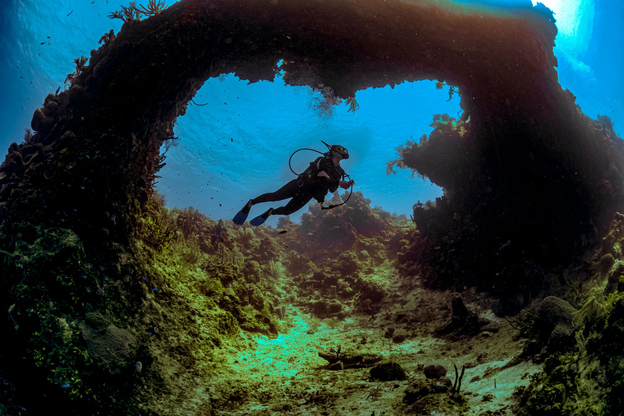 Scuba Diving Jamaica Arches