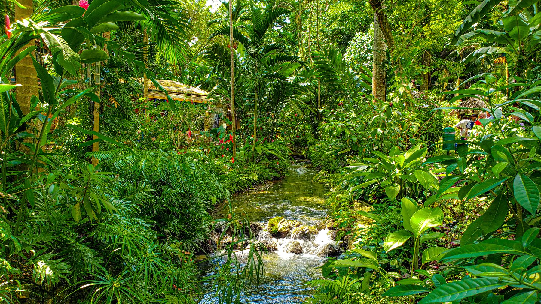 Konoko-Falls-Ocho-Rios-Jamiaca