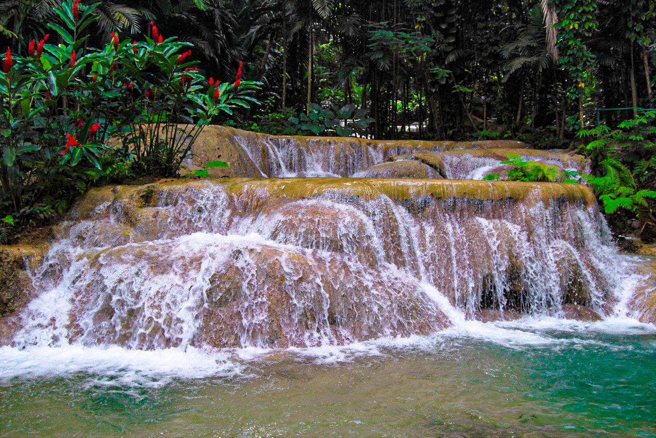Turtle River Falls Gardens Ocho Rios Jamaica