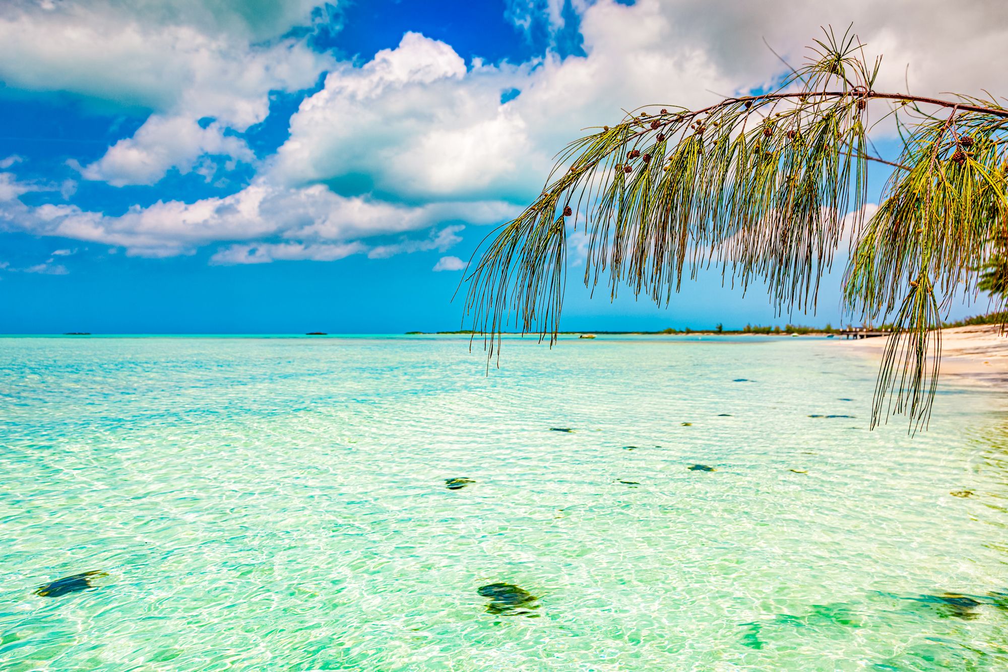 Bambarra Beach Turks Caicos