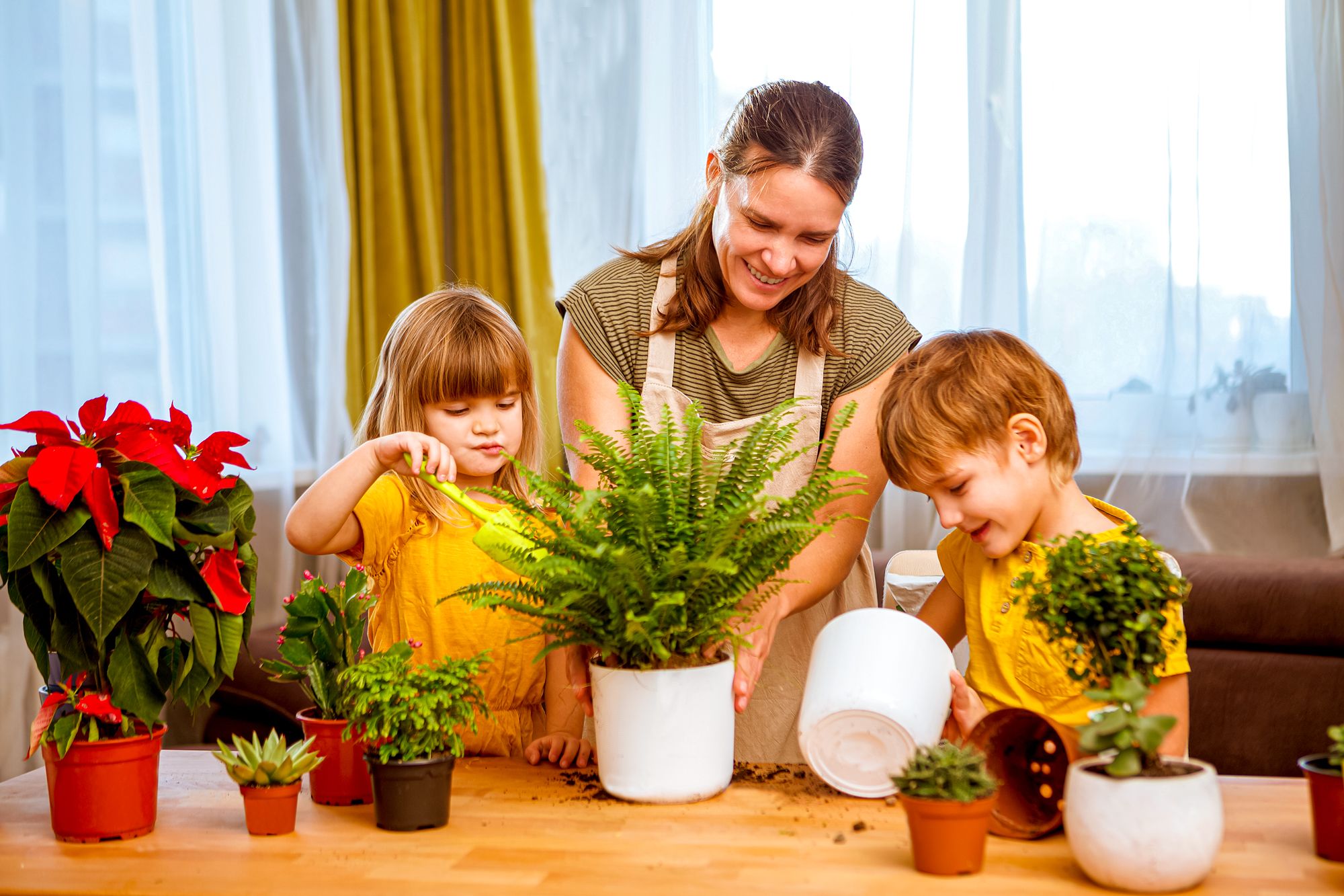 Educational Indoor Activities Family Gardening