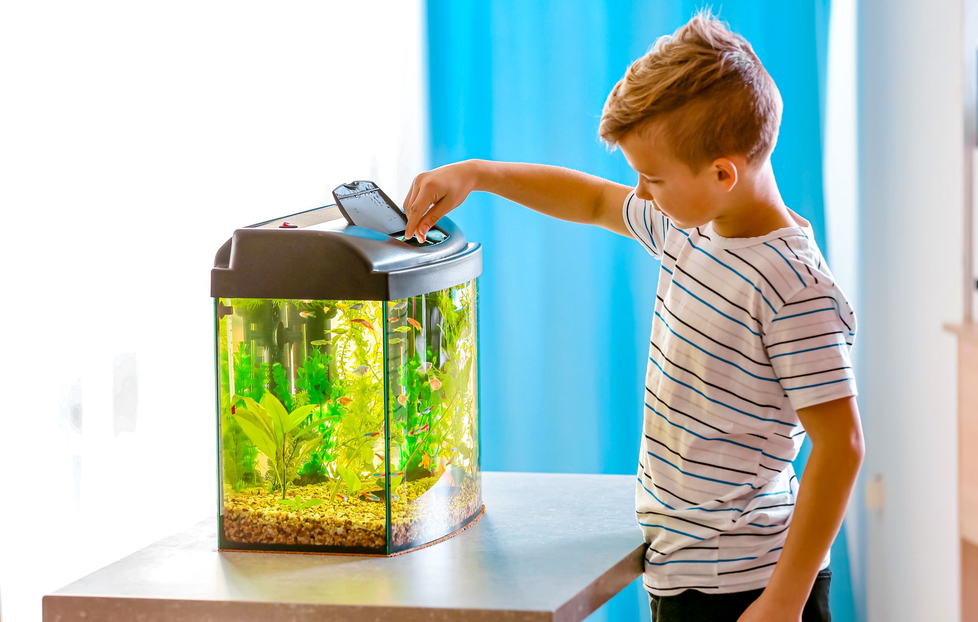 Educational Indoor Activities Kid Feeding Fishes