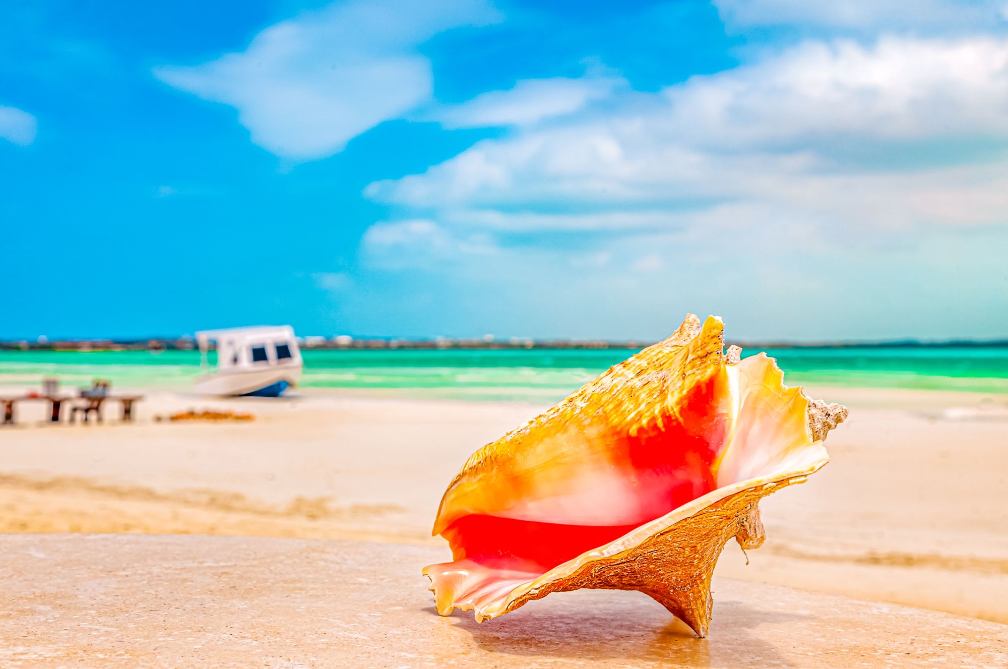 Leeward Beach Turks Caicos