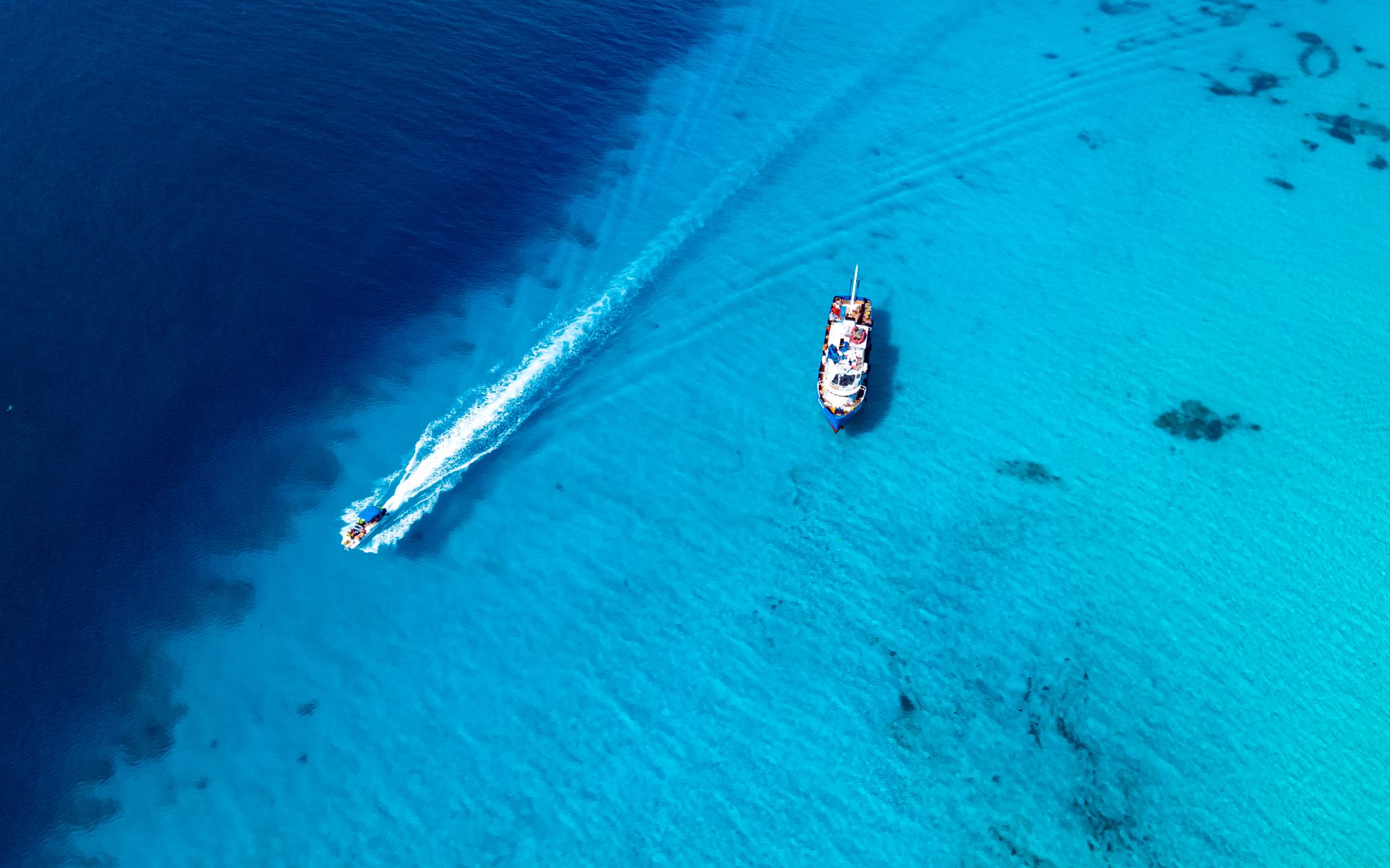 Library Reef Grand Turk Turks Caicos