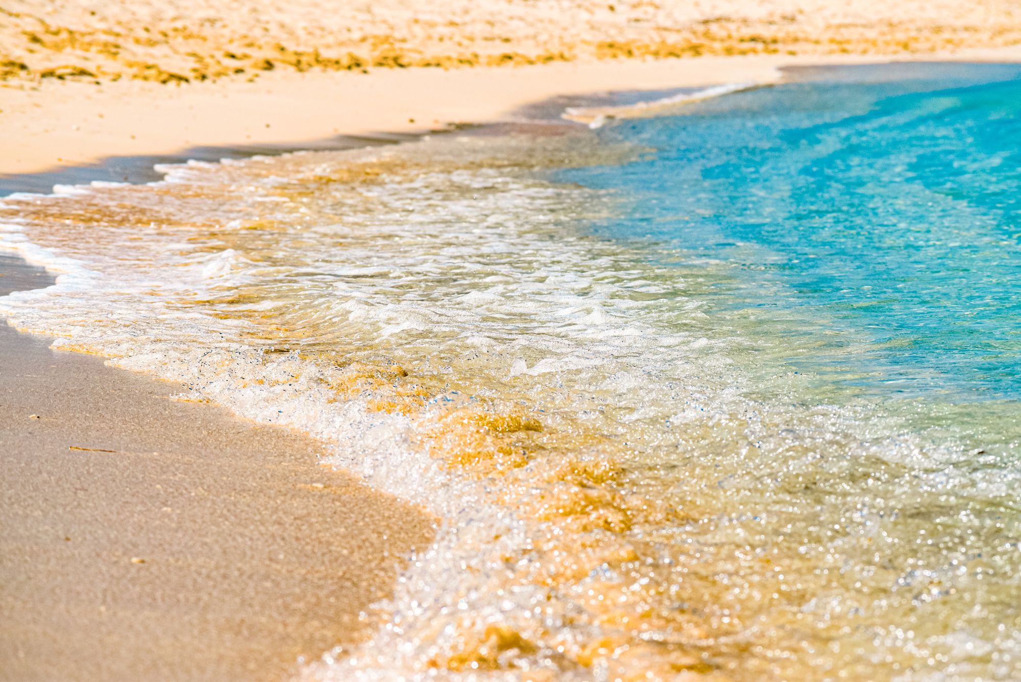 Pillory Beach Turks Caicos