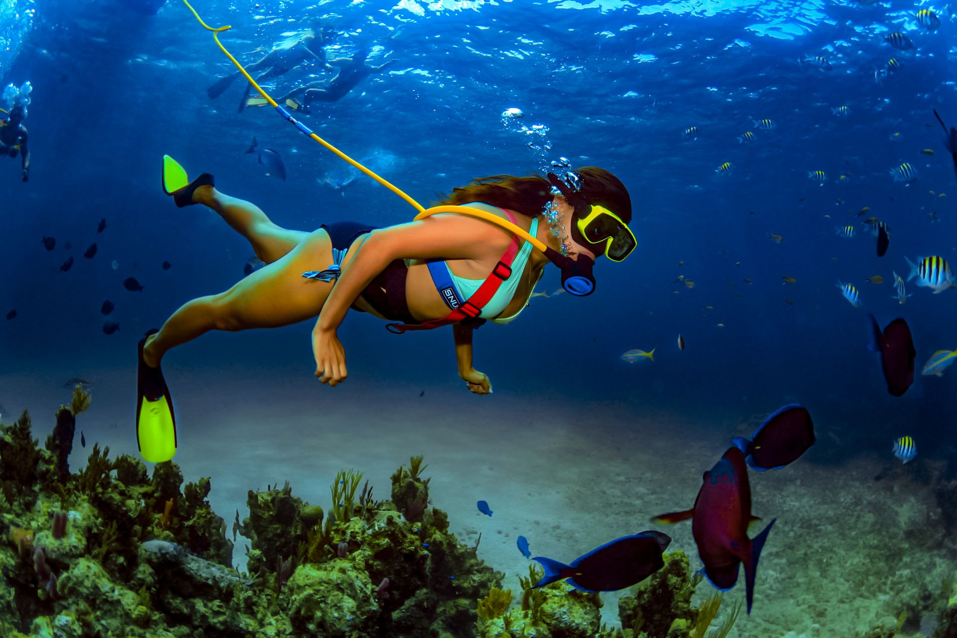 SNUBA Diving underwater