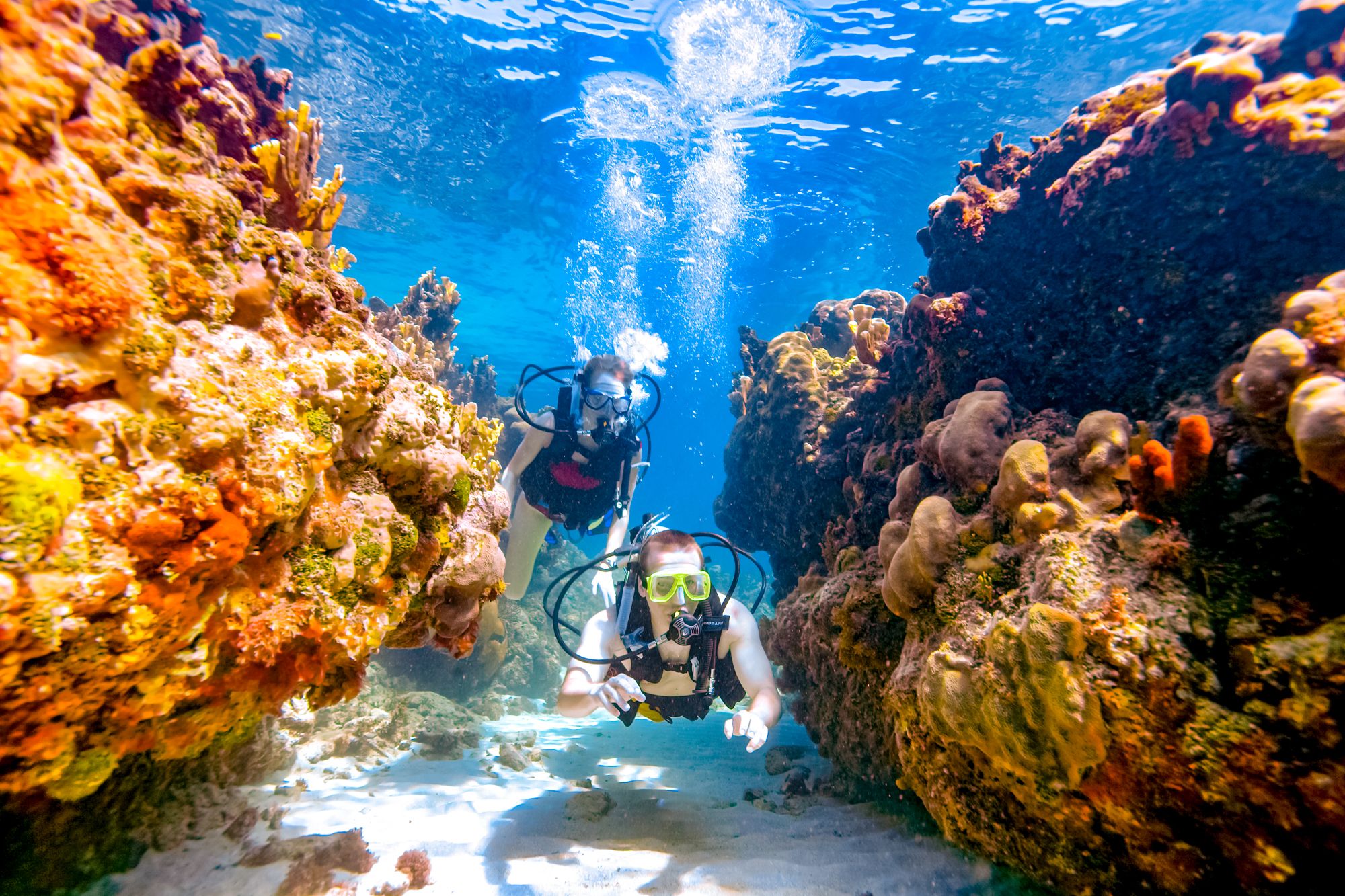 Sandals Montego Bay Scuba Diving Coral Couple