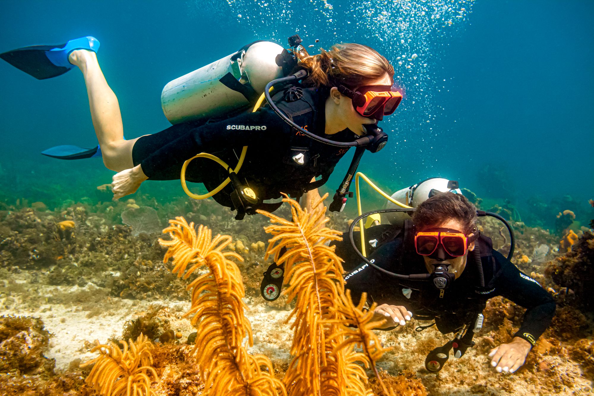 Sandals Negril Jamaica Scuba Diving