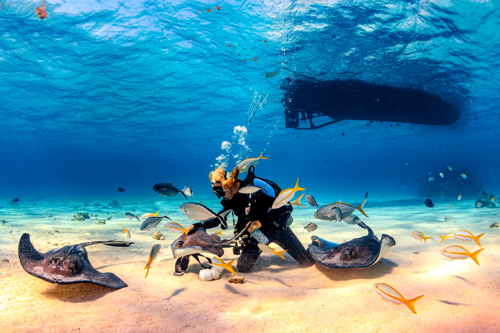 Stingray City Scuba Diving Jamaica