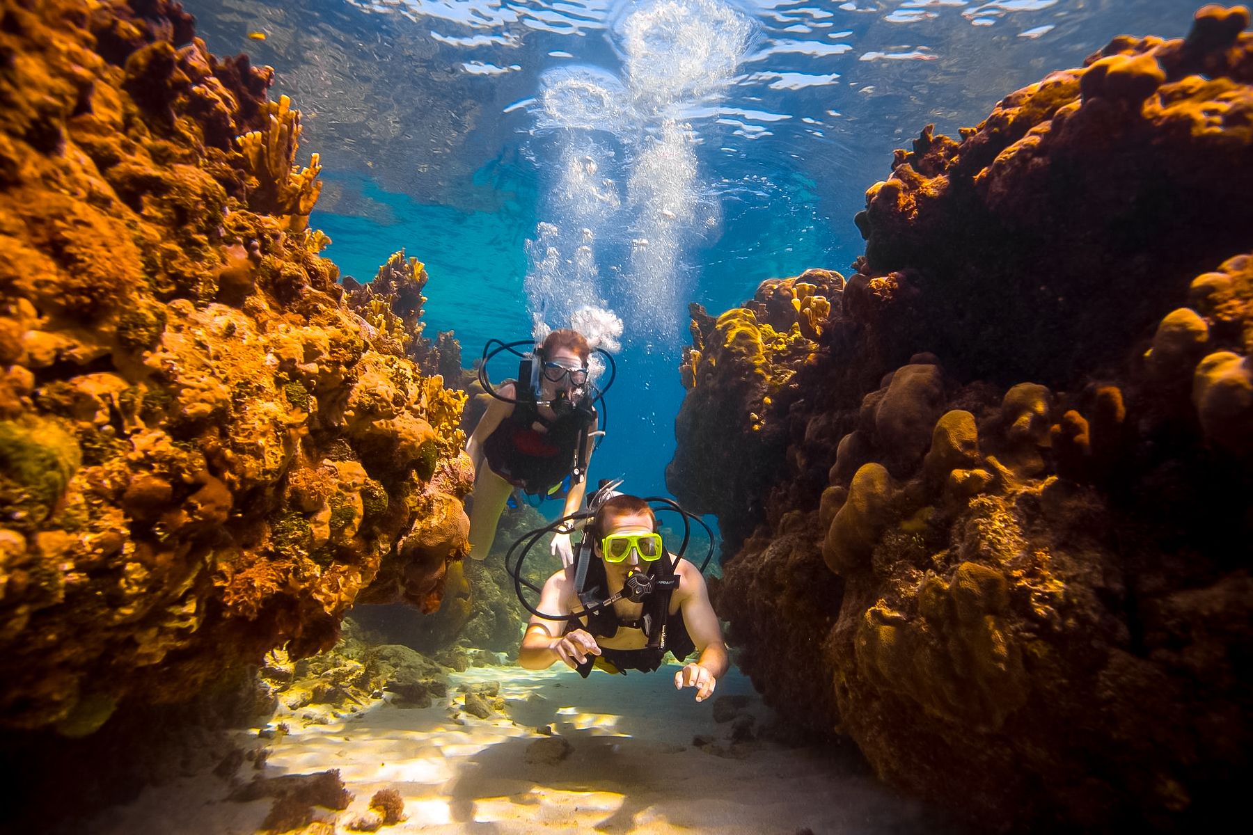 Scuba Diving Jamaica