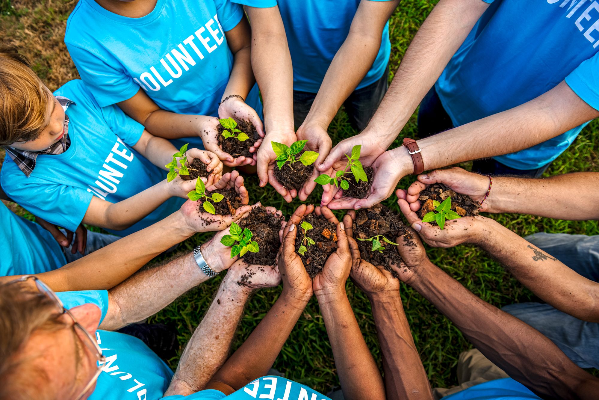 Voluntourism Trip