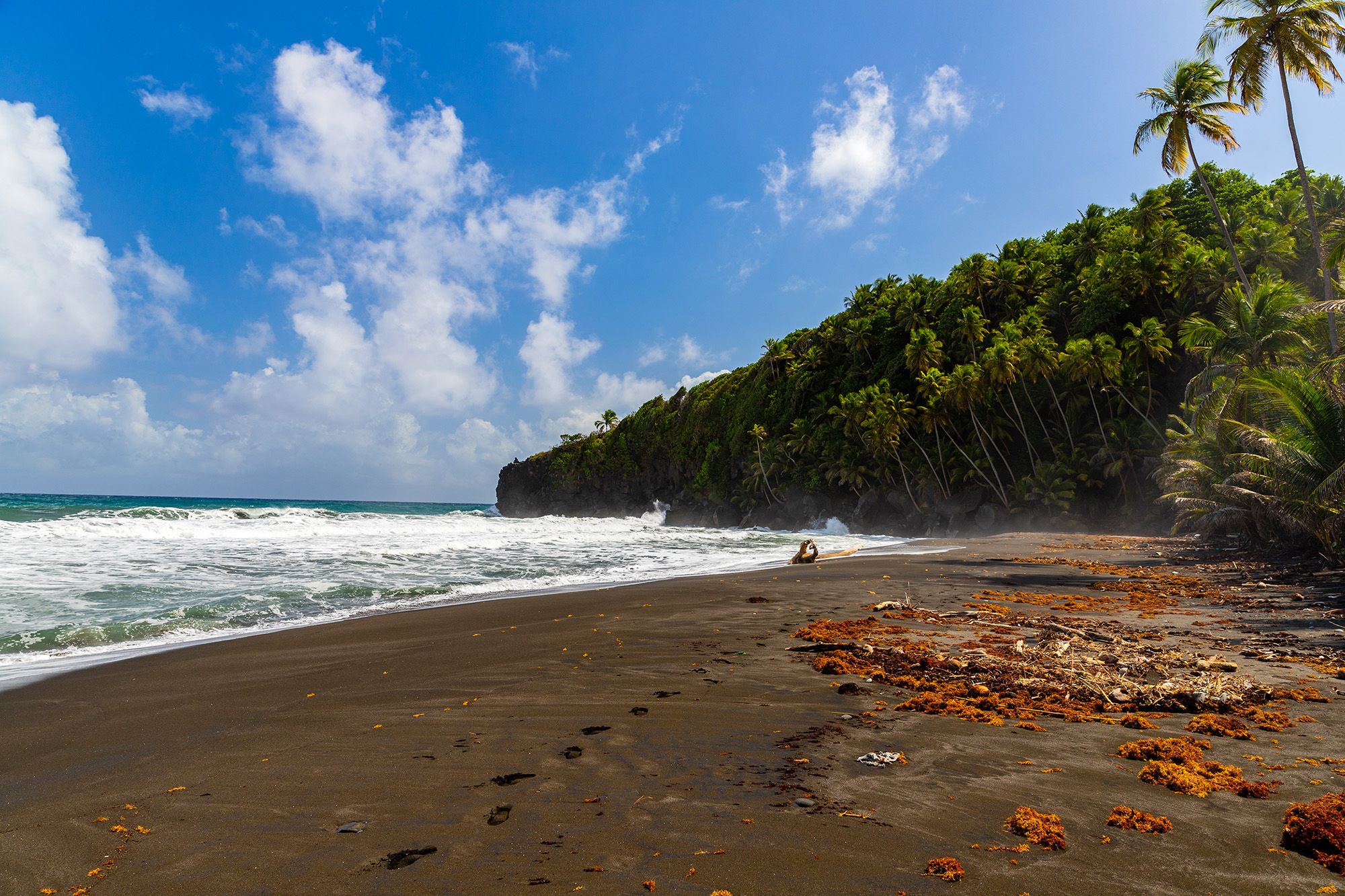 Saint Vincent Black point park