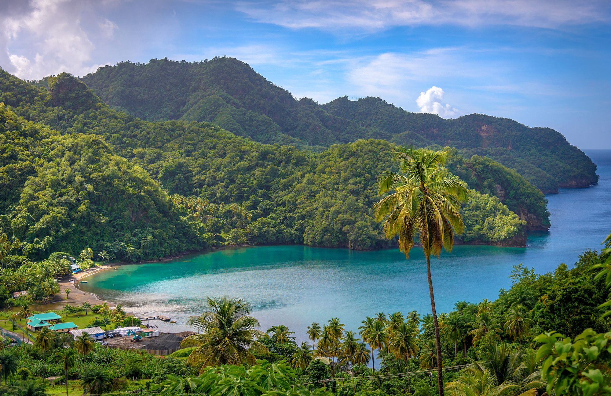 Sea and palm trees in Saint Vincent