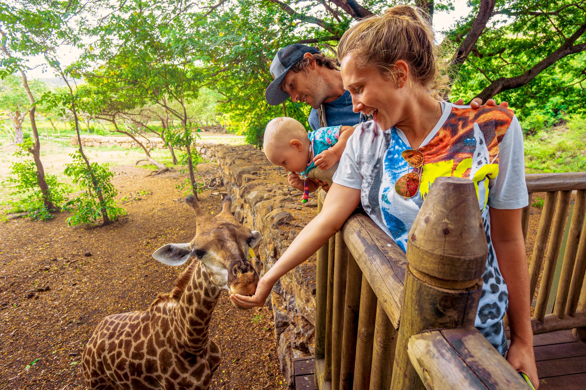 Toddler Family Zoo Petting Giraffe