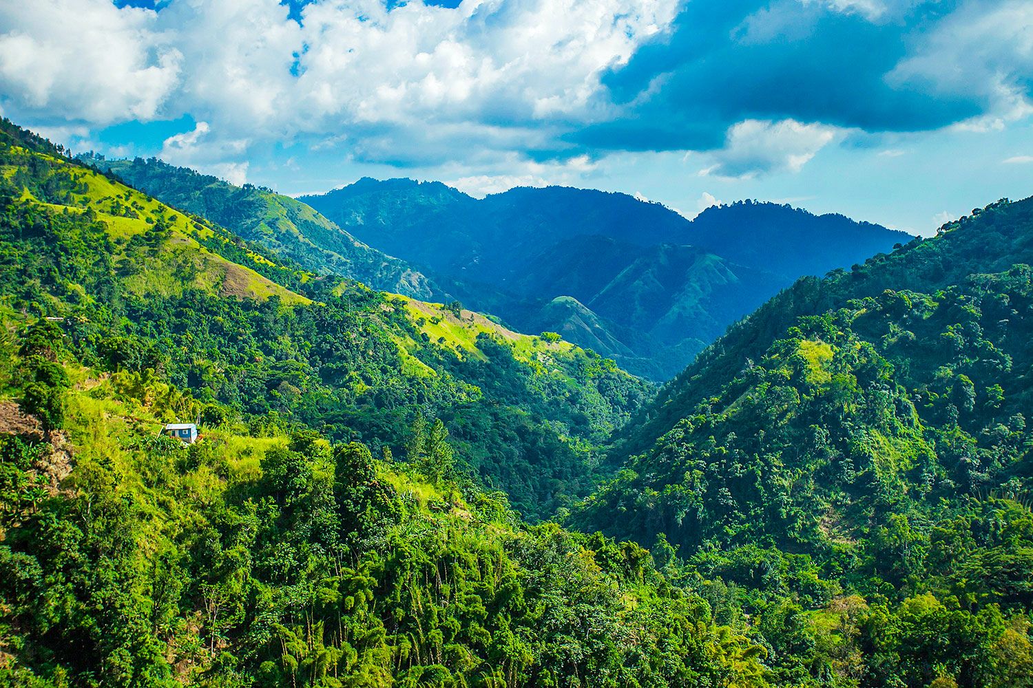 Blue-Mountains_2