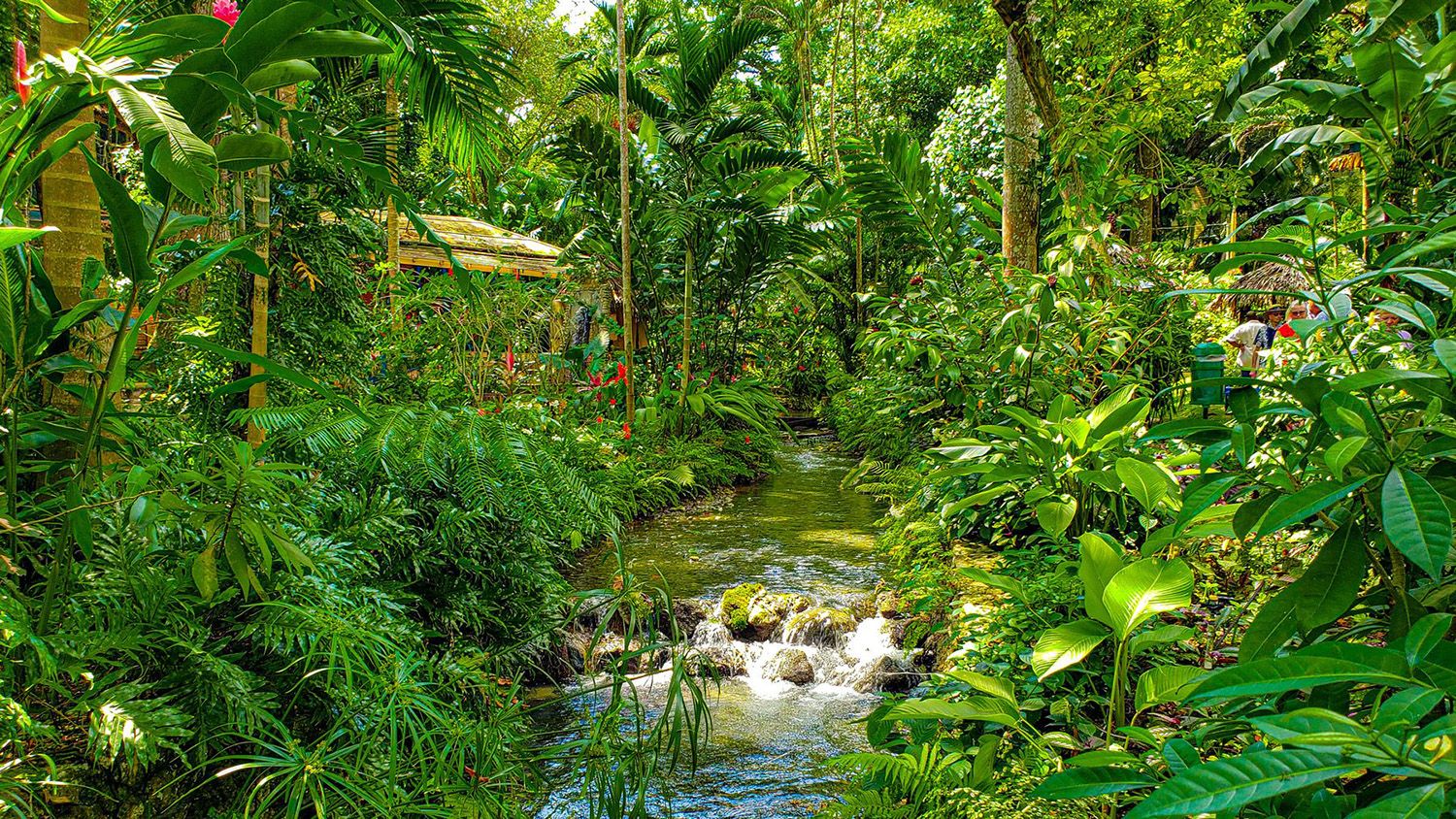 Konoko-Falls-Ocho-Rios-Jamiaca