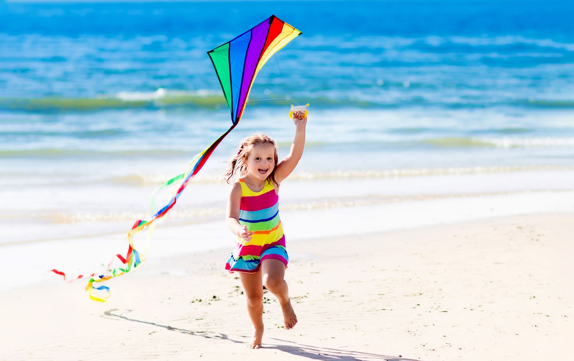 Beach Kites