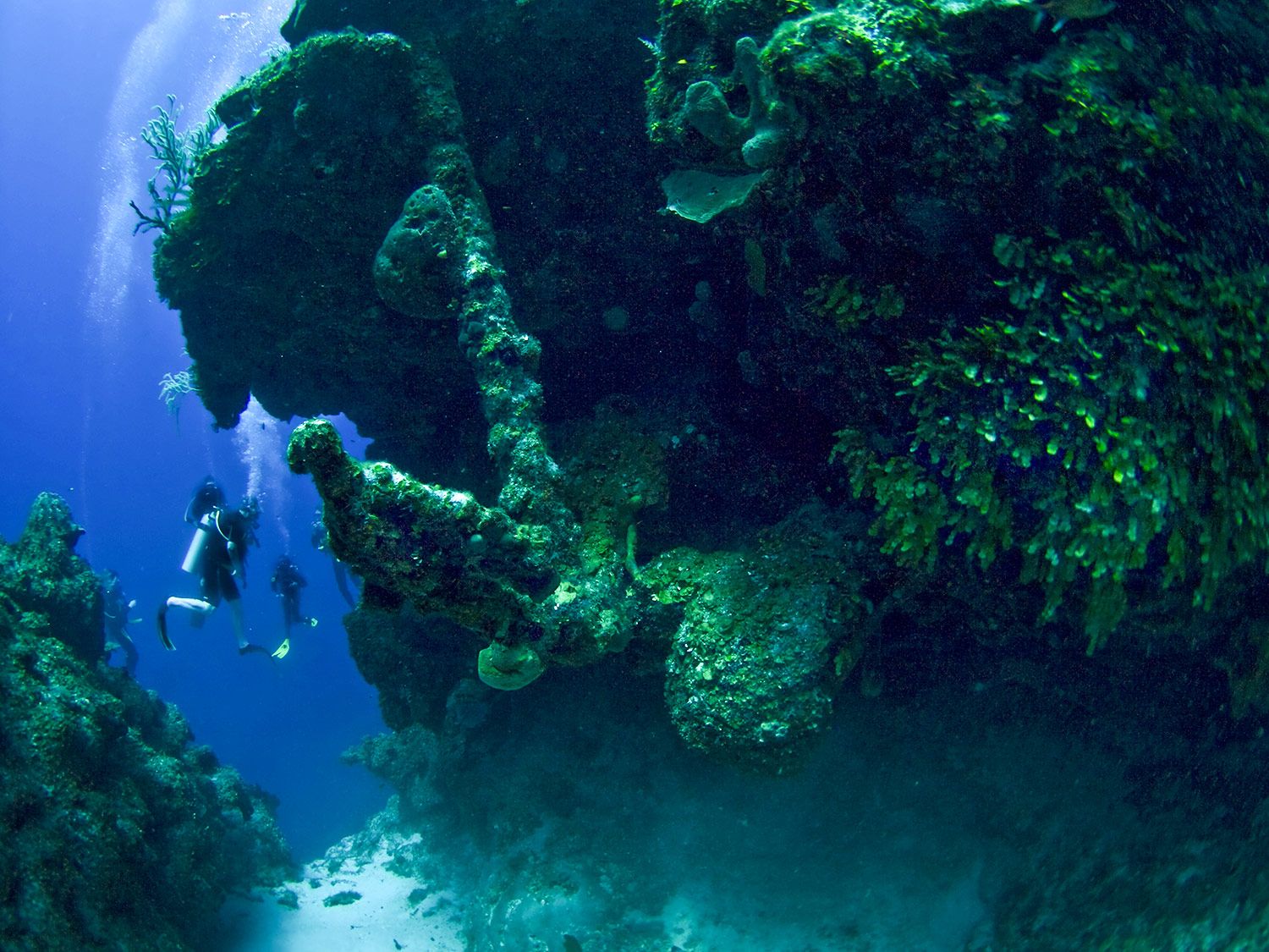 _The-Anchor-Reef-1