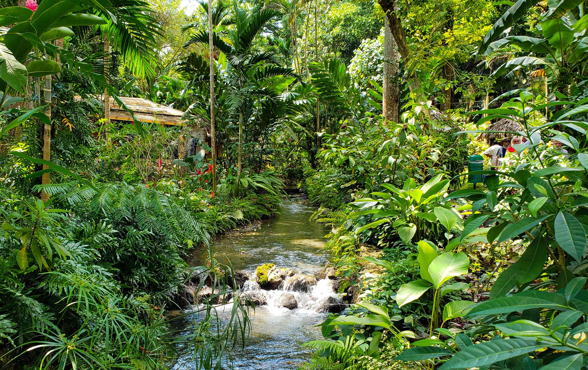 Konoko Falls Gardens