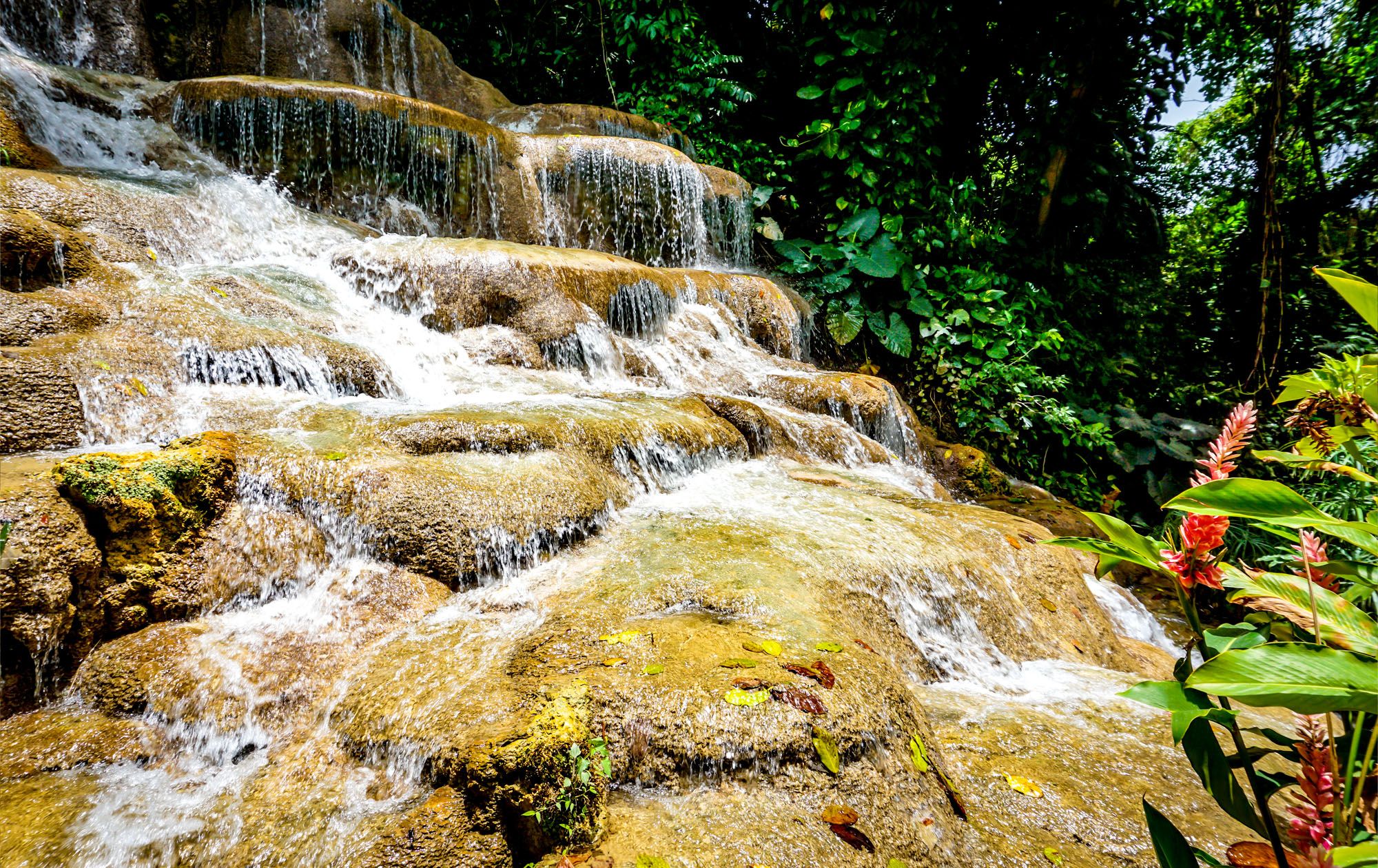 konoko falls excursion jamaica