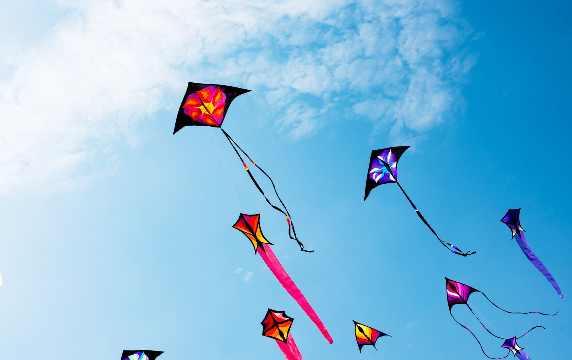 Kite-Flying