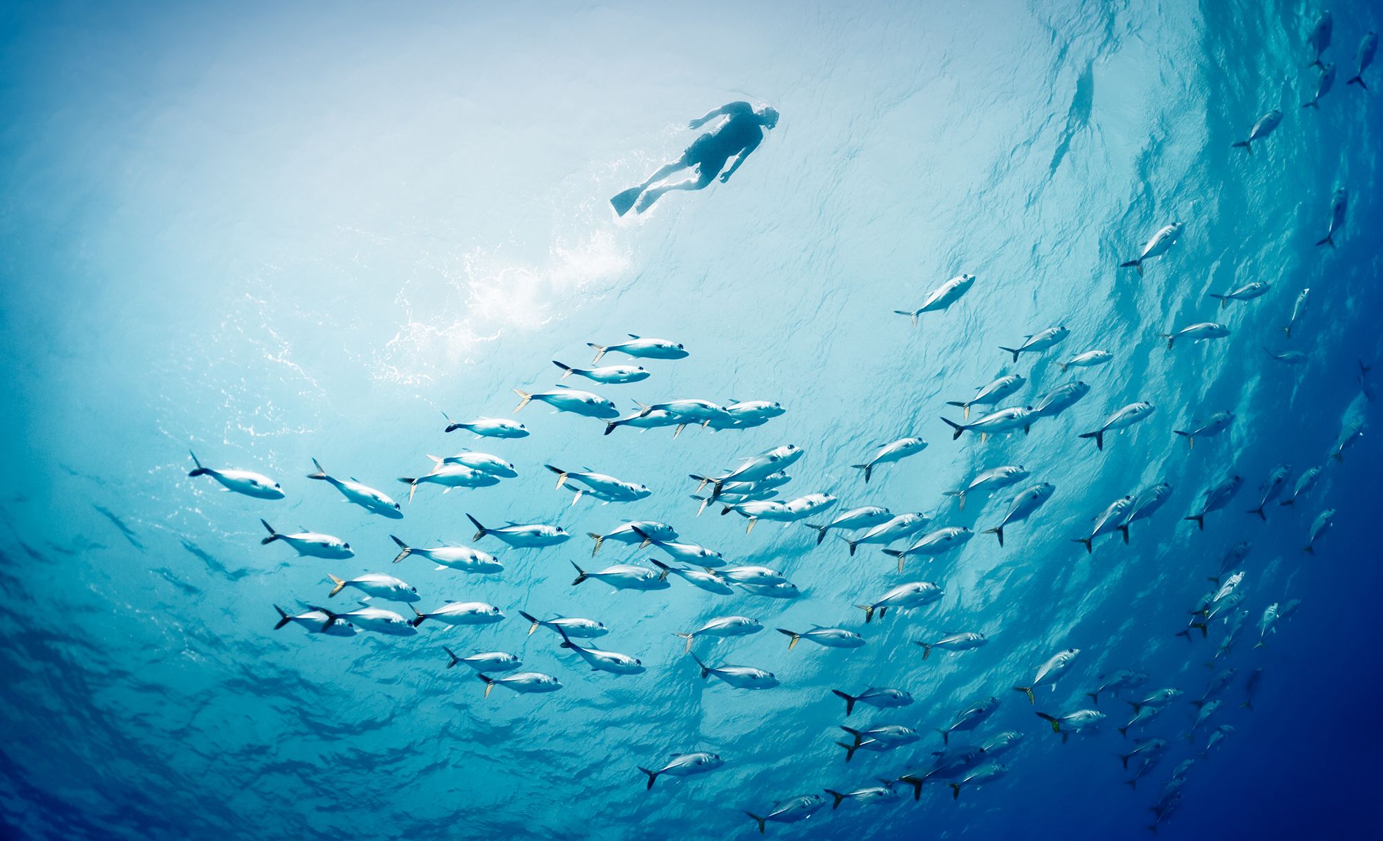 Snorkel-Underwater-Jamaica-Negril