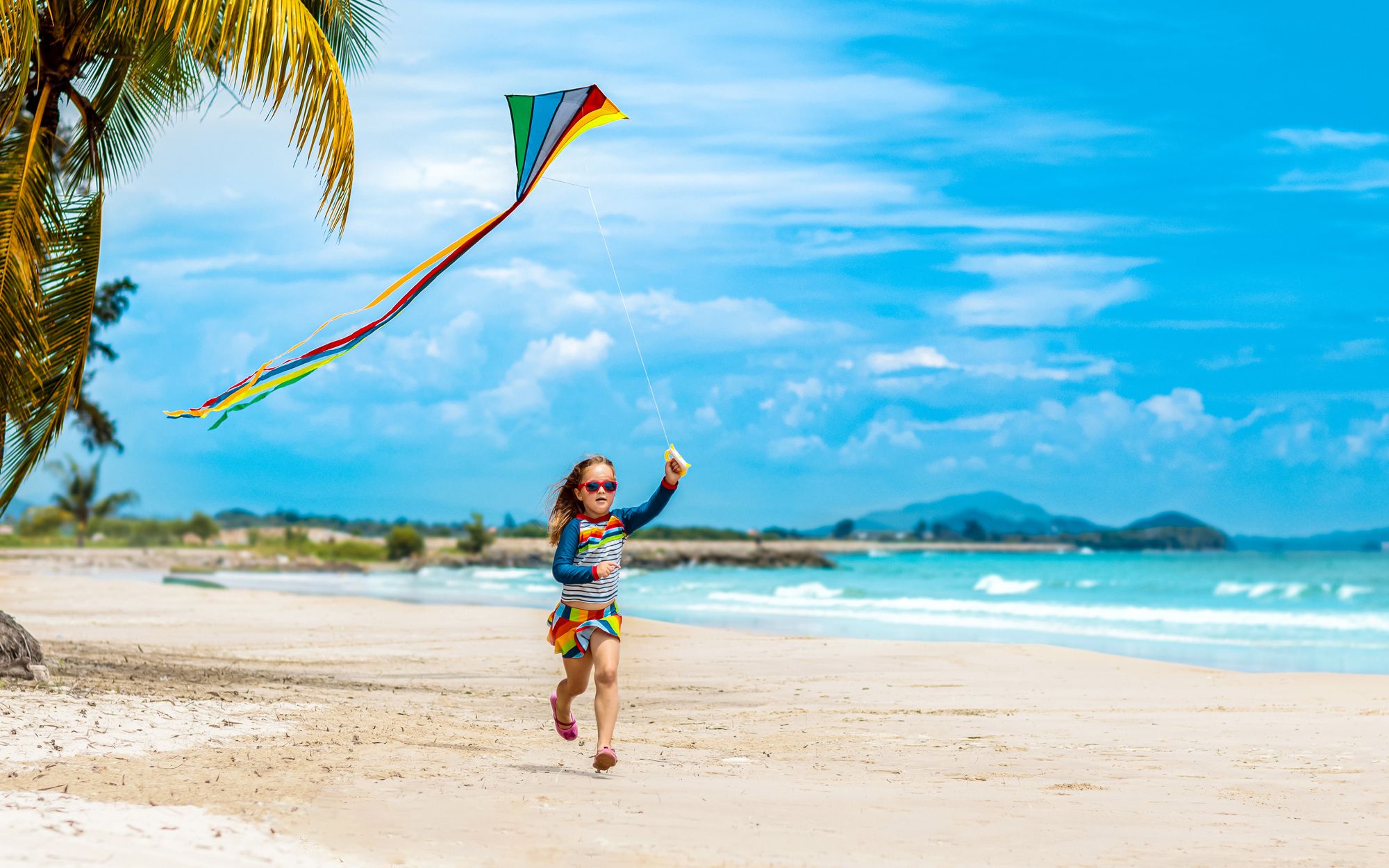 Beach Activities Flying Kite