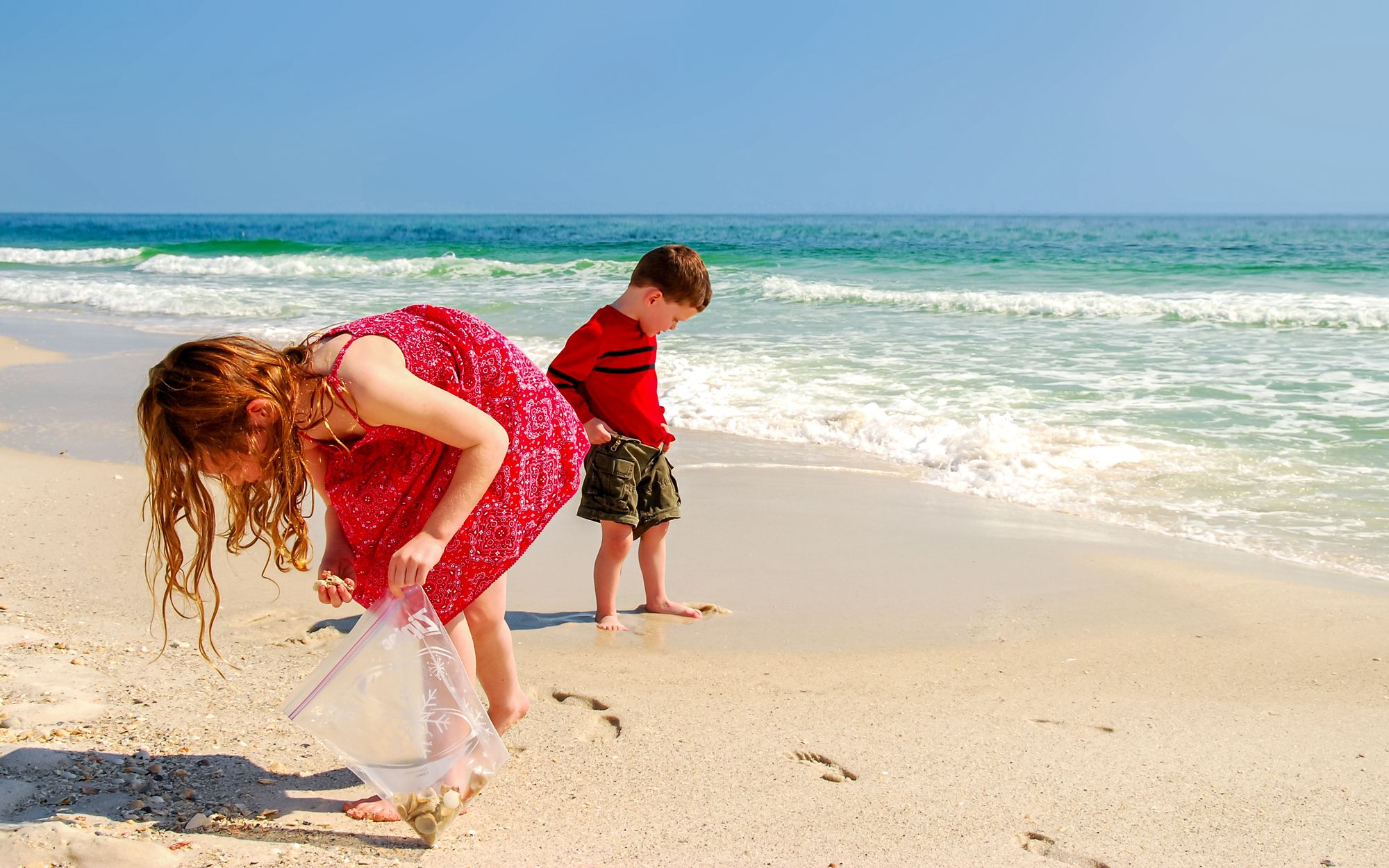 Beach Activities Seasheel Hunt