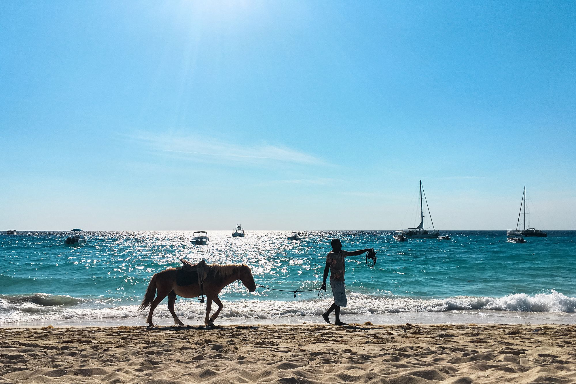 Provo Horse Riding Turks Caicos