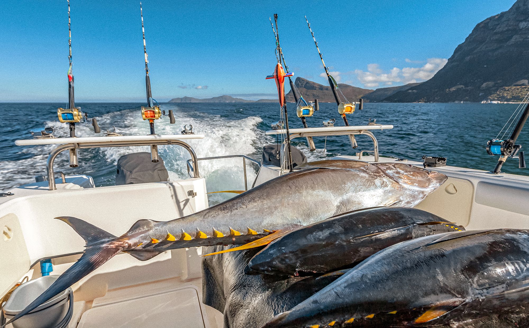 Turks Caicos Fishing Deep Sea Yellowfin Tuna