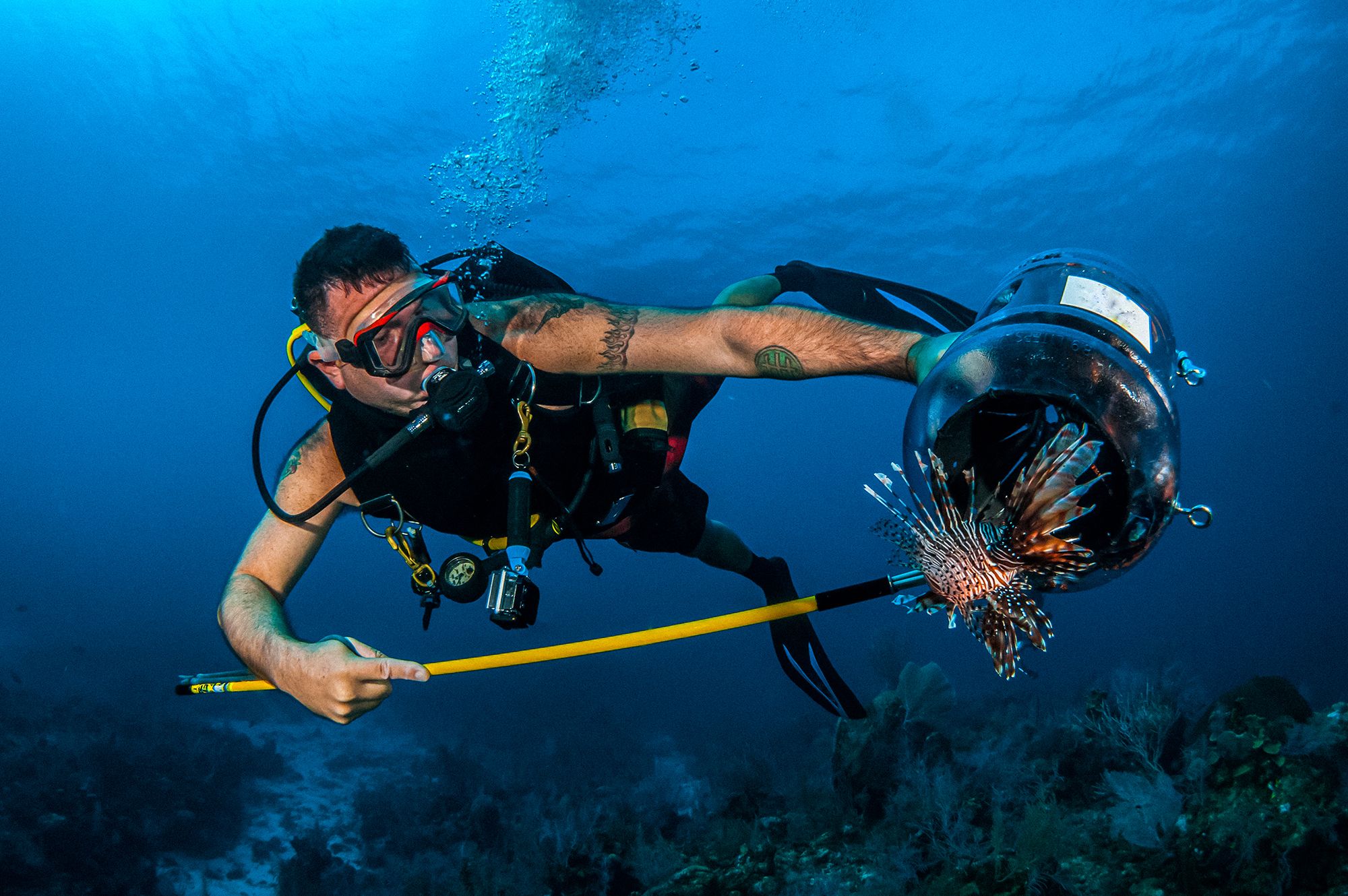 Turks Caicos Fishing Lionfish Hunting