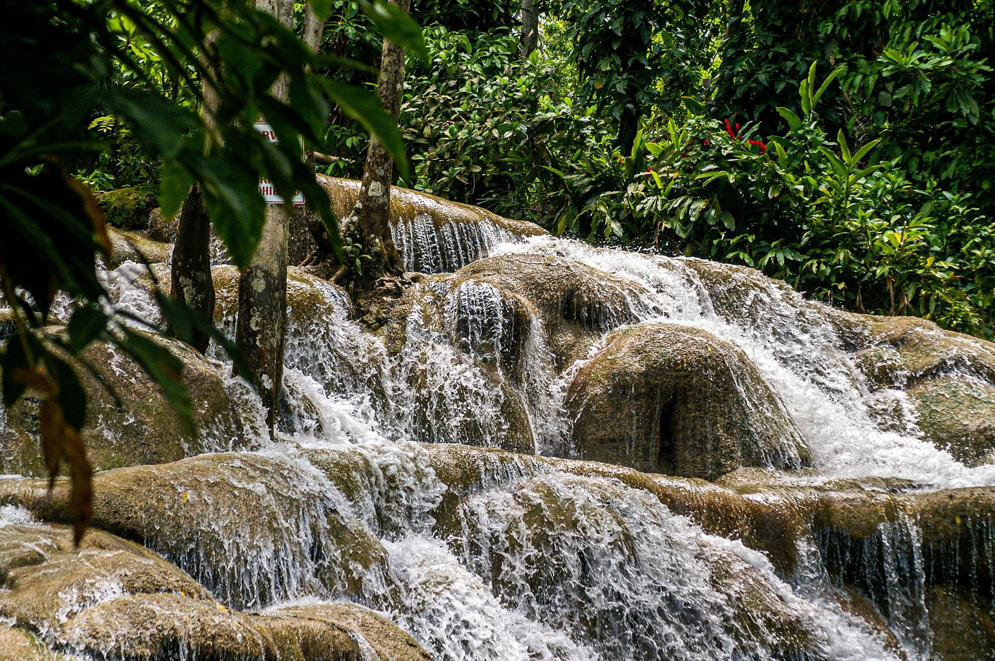 Dunns River Falls Ocho Rios Jamaica Detail