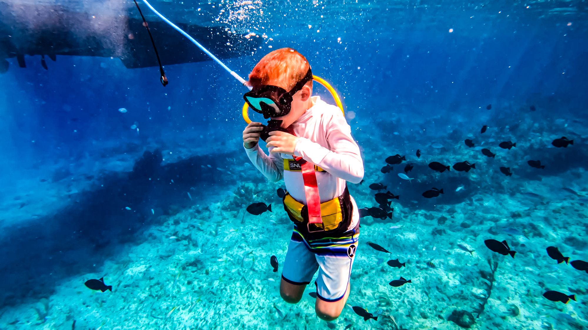 Jamaiaca Ocho Rios Suba Diving Kid