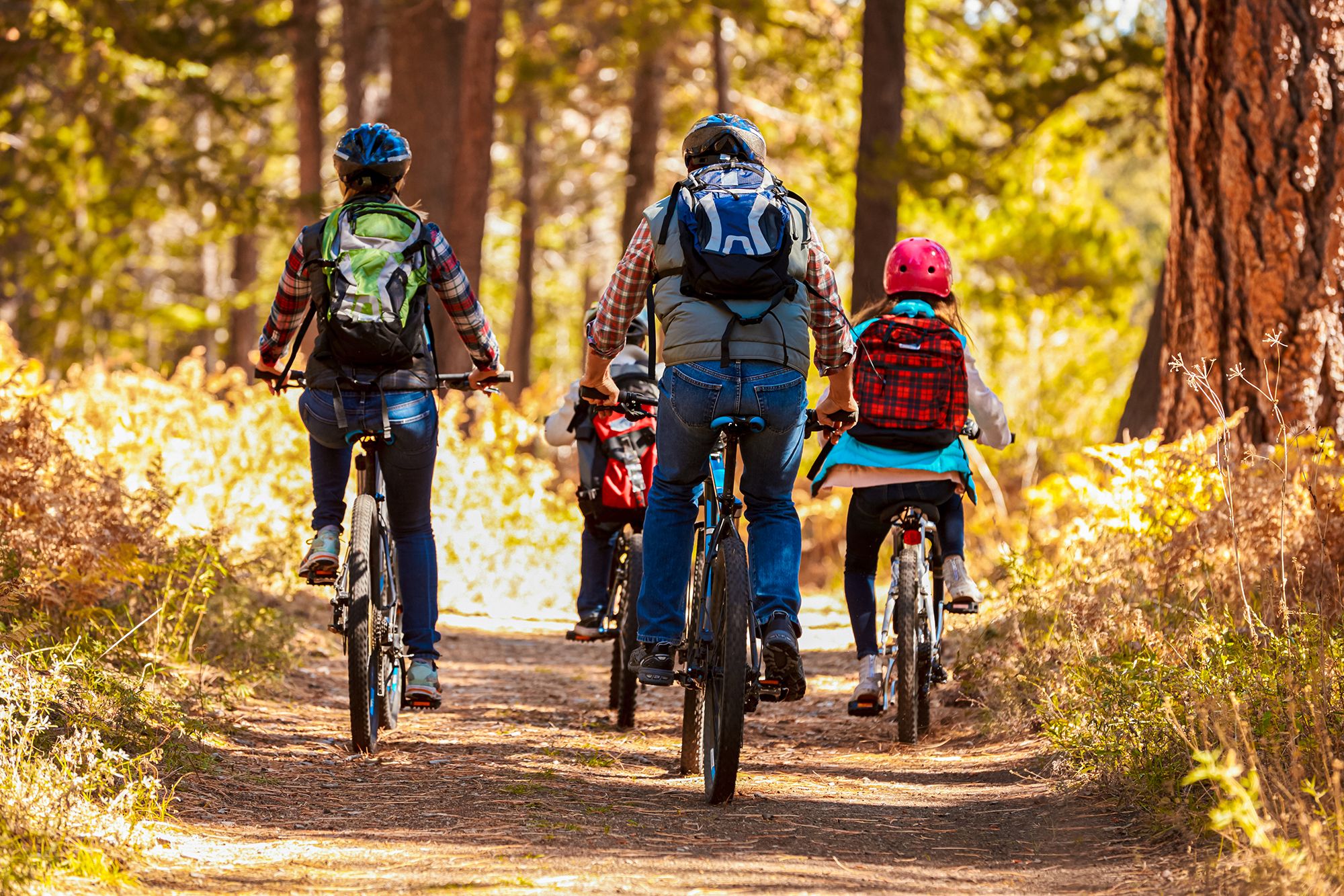 Family Vacation Ideas Boredom Jar Biking Trail