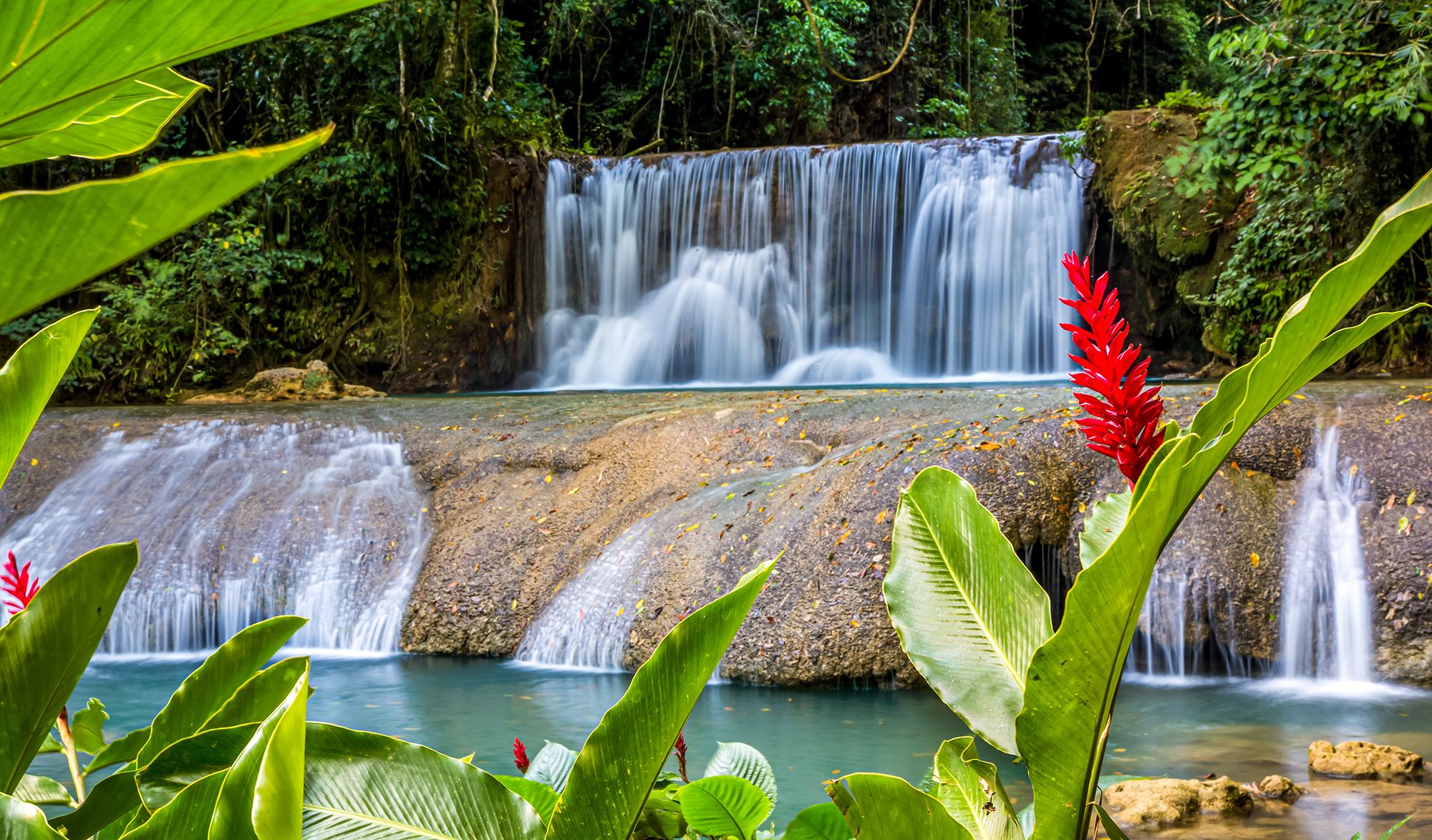 Mayfield Falls Jamaica Westmoreland2