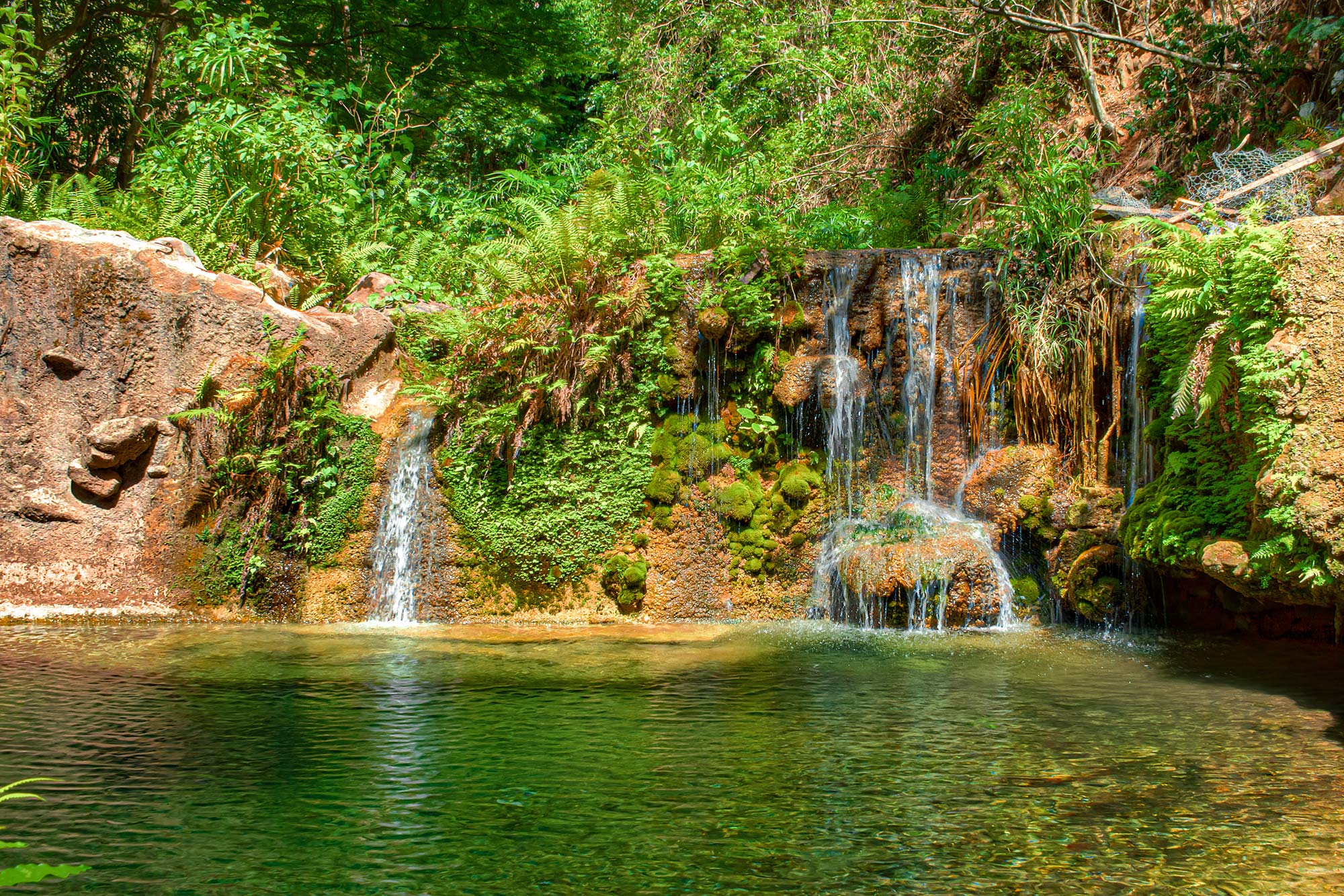 Cane River Falls Jamaica