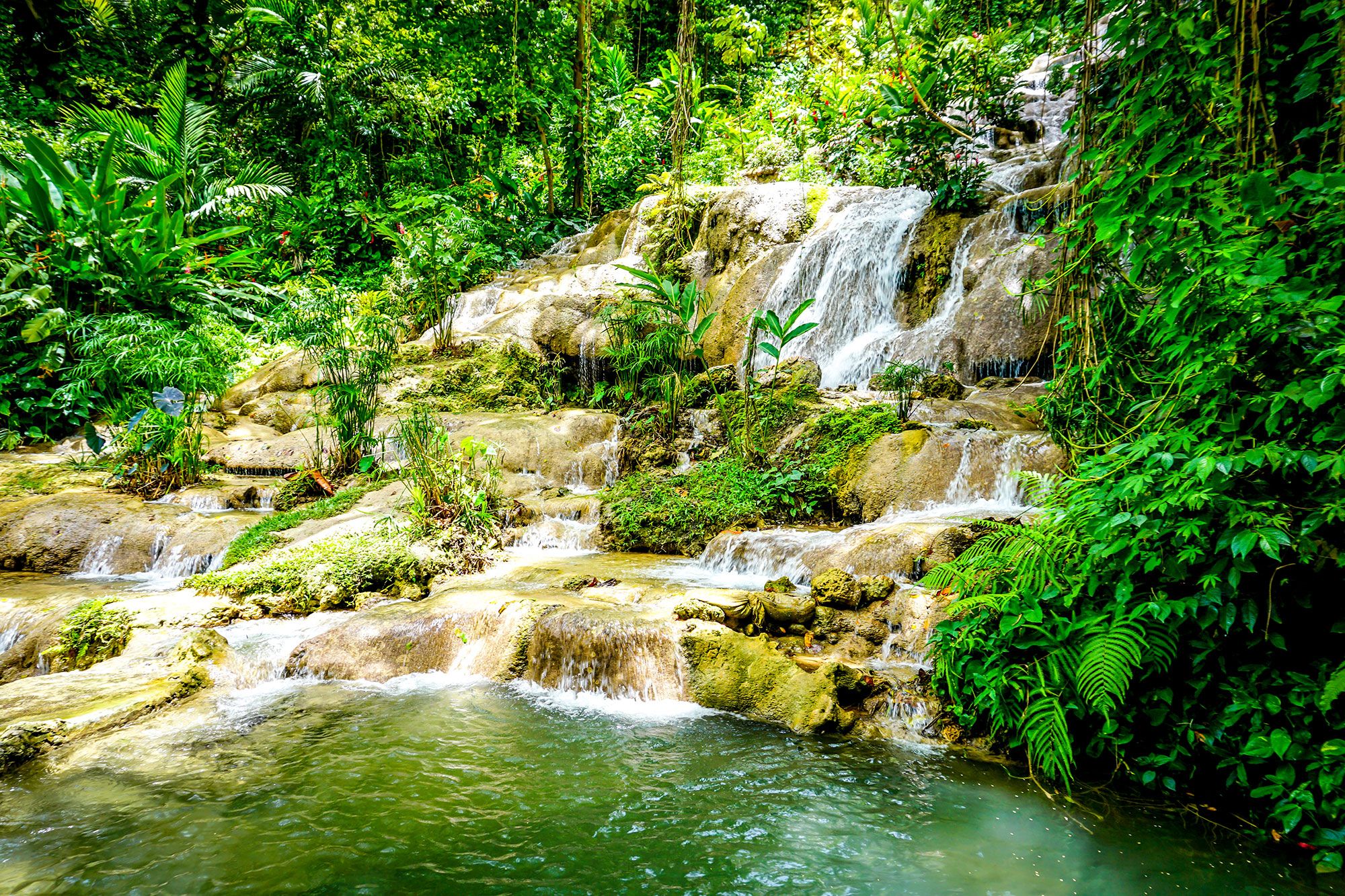 Konoko Falls Ocho Rios Jamaica