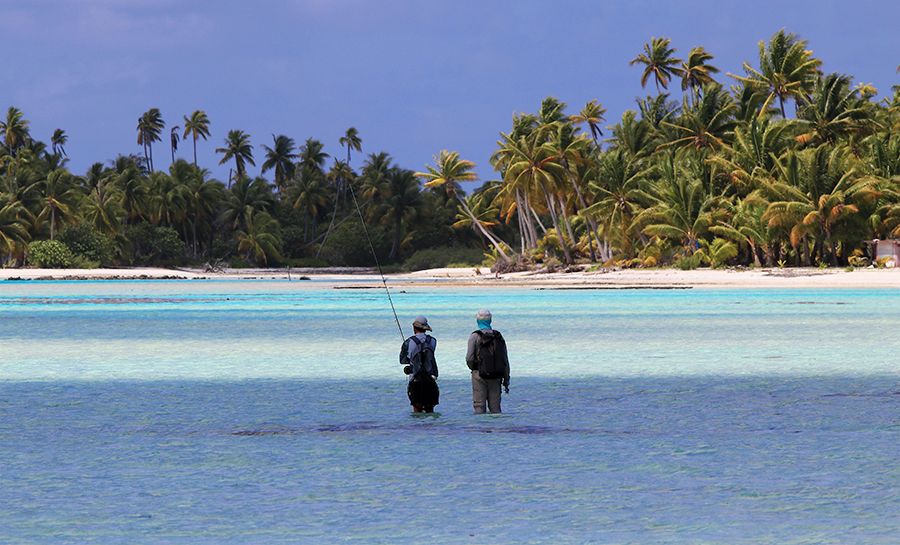 The Ultimate Guide to Fishing in Jamaica