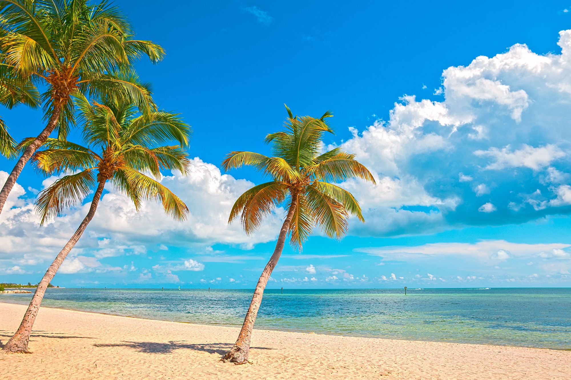 Key West Florida Beach