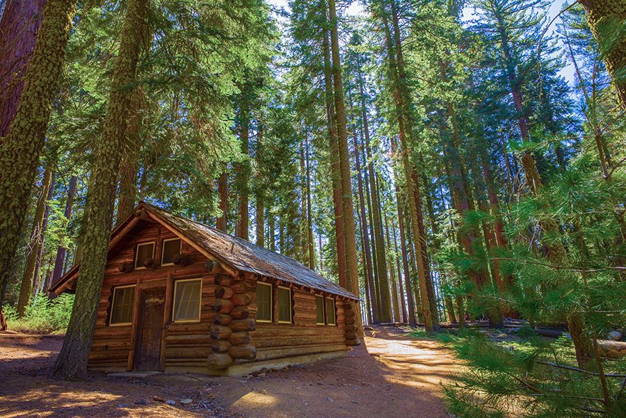 cabin-in-the-woods