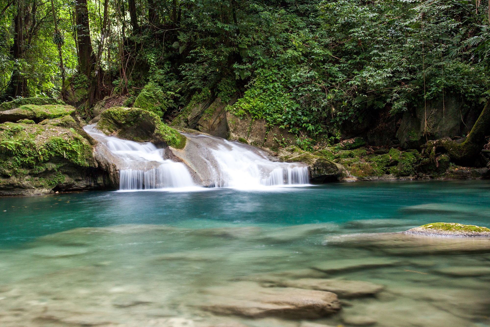 Waterfalls, Ponds & Even An Aviary — Here’s Why You Should Visit Jamaica’s Turtle River Falls!