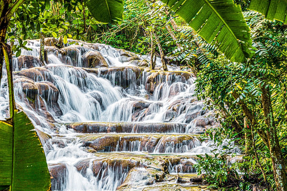 Dive Into Adventure At Dolphin Cove, Ocho Rios