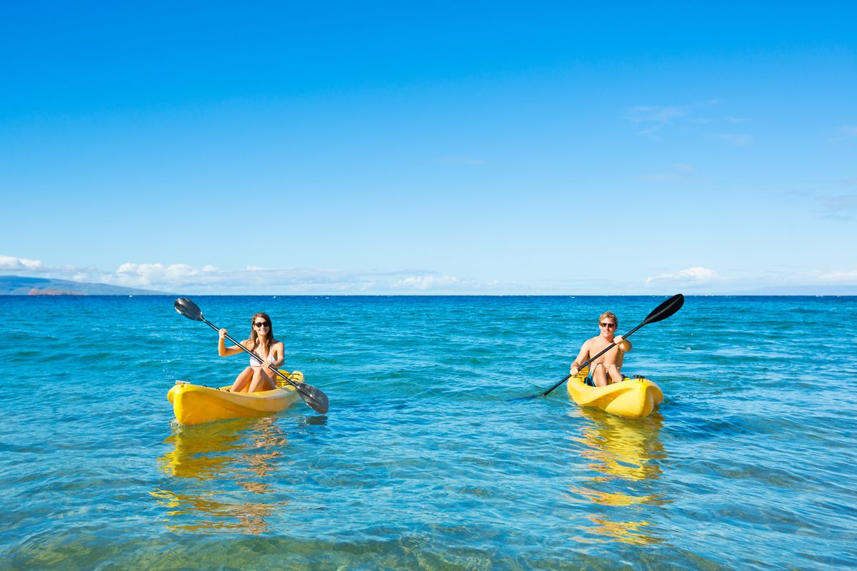 Dive Into Adventure At Dolphin Cove, Ocho Rios