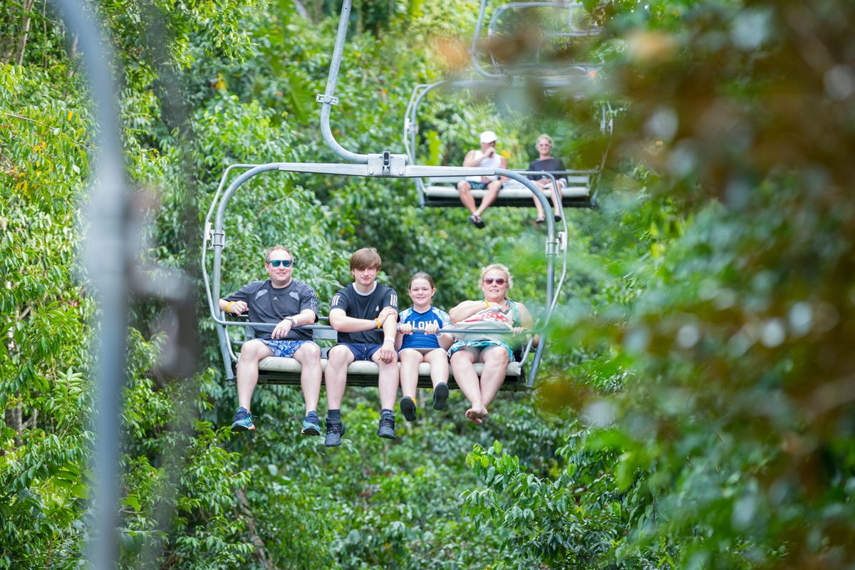 Dive Into Adventure At Dolphin Cove, Ocho Rios