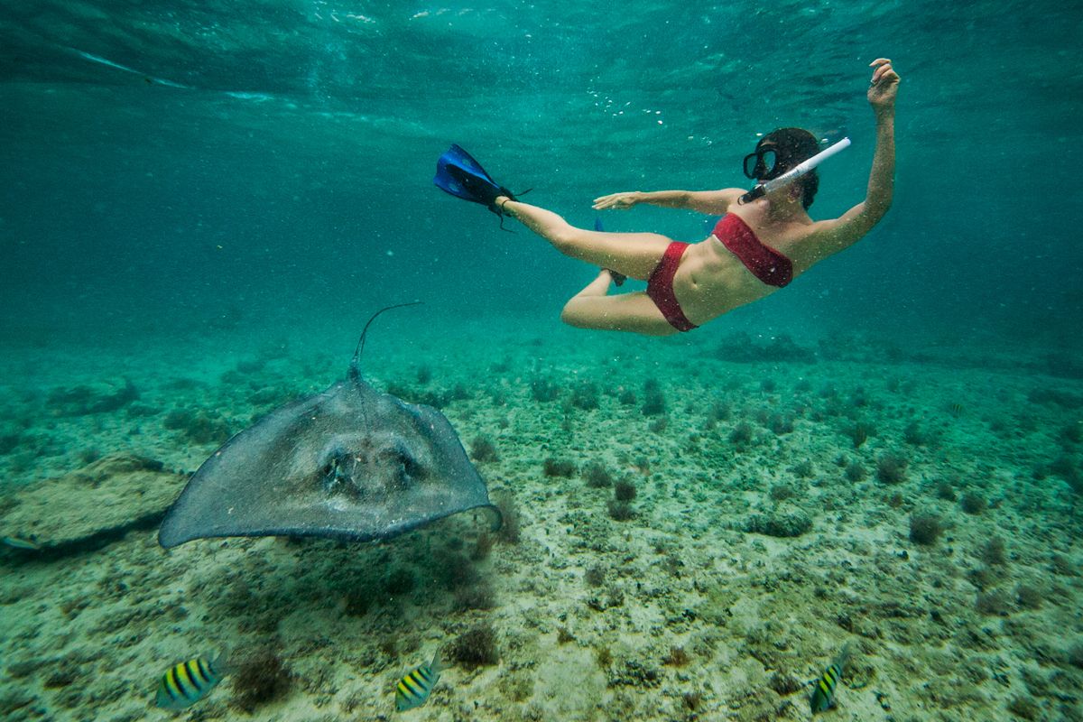 Dive Into Adventure At Dolphin Cove, Ocho Rios