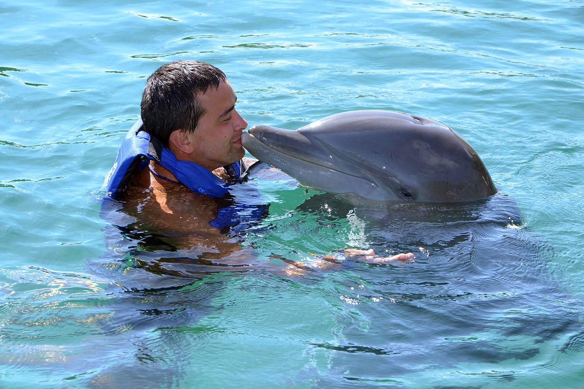 swim-with-dolphin