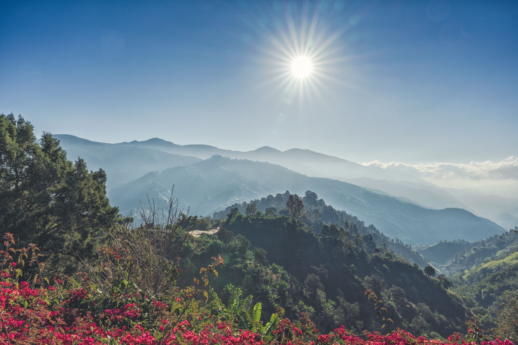 High-up-in-the-Blue-Mountains-in-Jamaica