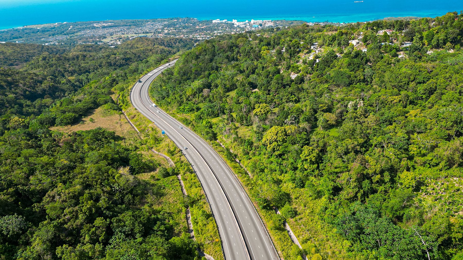 Fern Gully Natural Attraction In Jamaica Beaches