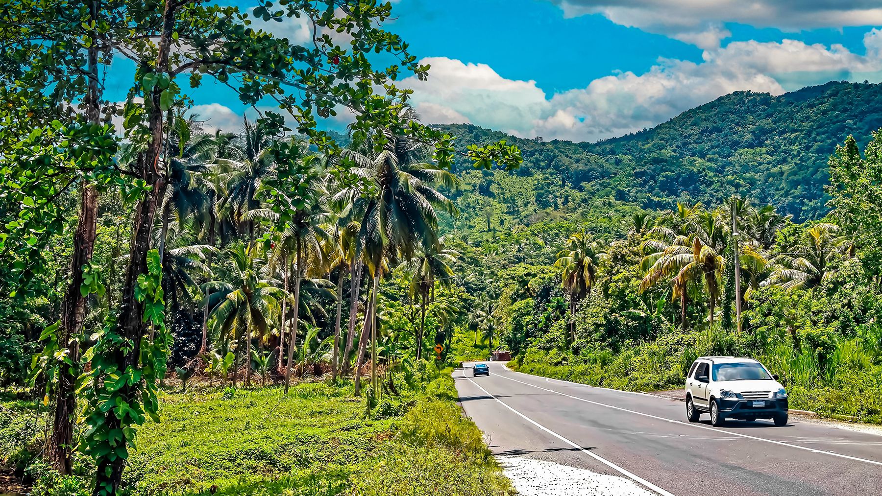 Jamaica-Fern-Gully-Road-View