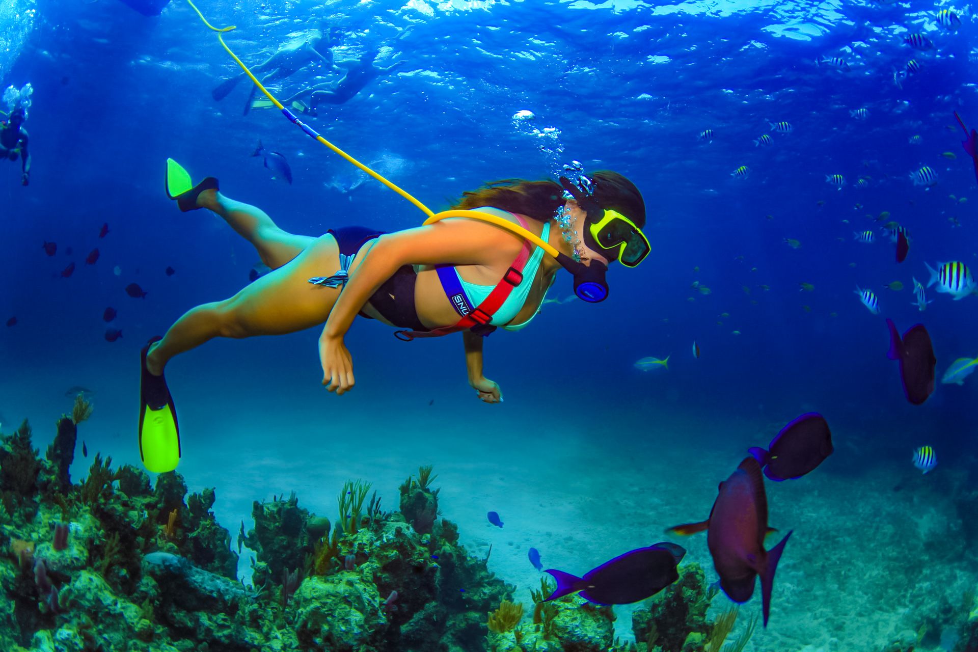 Snuba Diving Jamaica